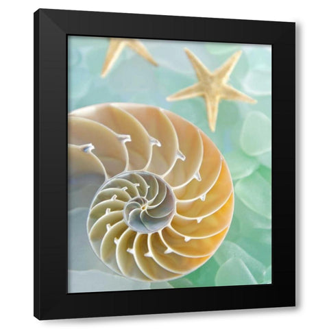 Seaglass 2 Black Modern Wood Framed Art Print with Double Matting by Blaustein, Alan
