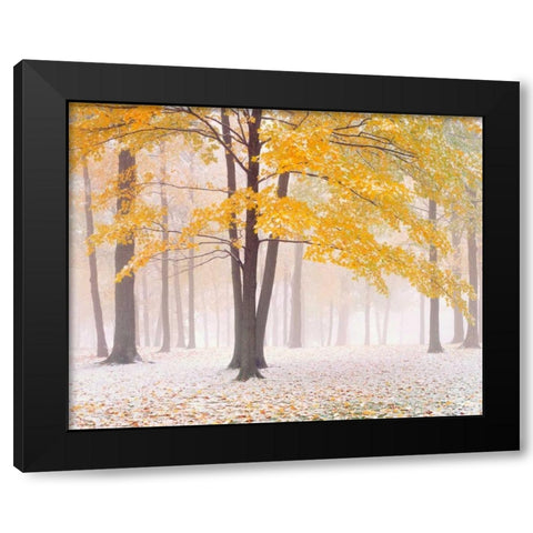 Early Autumn Snow Black Modern Wood Framed Art Print by Becia, Jim