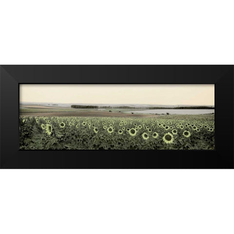 Andalusian Sun Flowers Black Modern Wood Framed Art Print by Blaustein, Alan