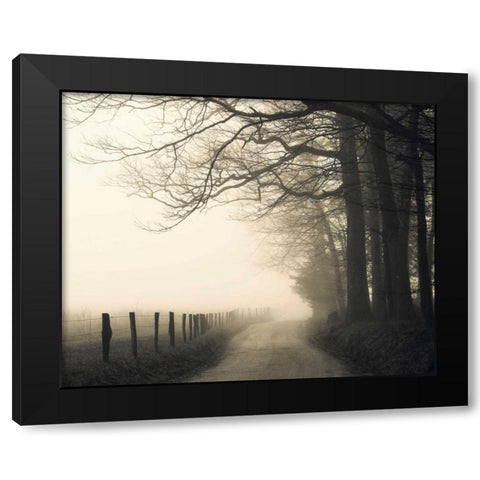 Hyatt Lane Black Modern Wood Framed Art Print with Double Matting by Bell, Nicholas