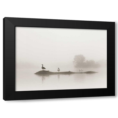 Melton Lake Black Modern Wood Framed Art Print by Bell, Nicholas