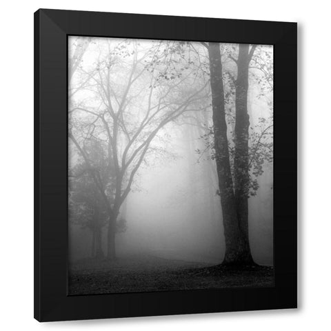 November Fog Black Modern Wood Framed Art Print with Double Matting by Bell, Nicholas