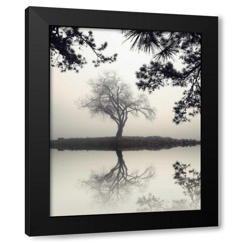 Winter Willow Black Modern Wood Framed Art Print by Bell, Nicholas