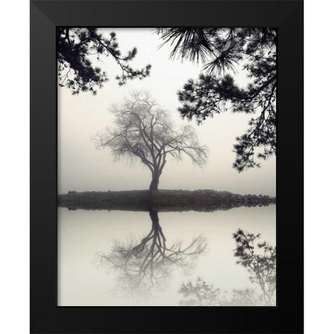 Winter Willow Black Modern Wood Framed Art Print by Bell, Nicholas