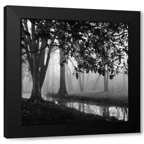Woodland No. 1 Black Modern Wood Framed Art Print with Double Matting by Bell, Nicholas