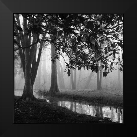 Woodland No. 1 Black Modern Wood Framed Art Print by Bell, Nicholas
