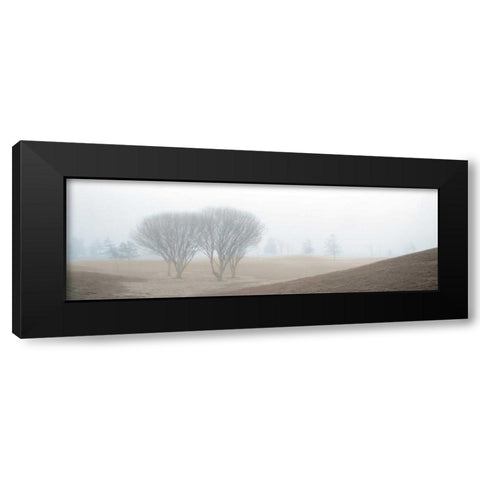 Coastal Trail Black Modern Wood Framed Art Print by Blaustein, Alan