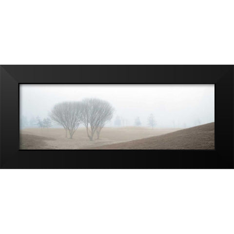 Coastal Trail Black Modern Wood Framed Art Print by Blaustein, Alan