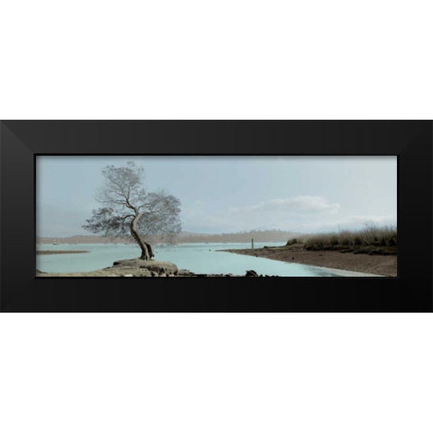 Lagoon Oak Tree Black Modern Wood Framed Art Print by Blaustein, Alan