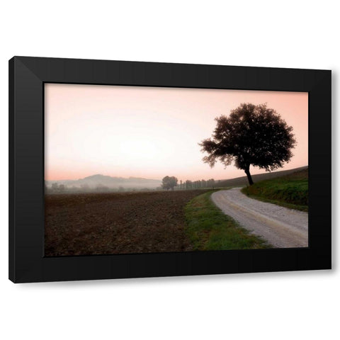 Toscana Valle No.1 Black Modern Wood Framed Art Print by Blaustein, Alan