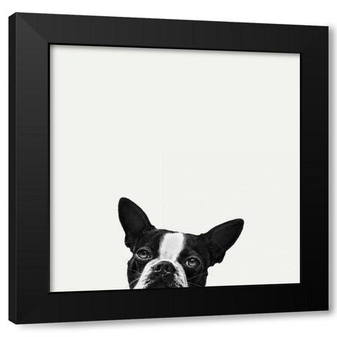 Loyalty Black Modern Wood Framed Art Print with Double Matting by Bertelli, Jon