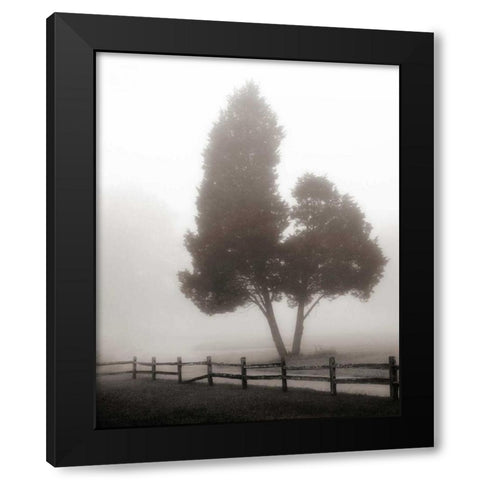 Cedar Tree and Fence Black Modern Wood Framed Art Print with Double Matting by Bell, Nicholas