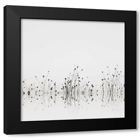 Reflections Black Modern Wood Framed Art Print with Double Matting by Bell, Nicholas