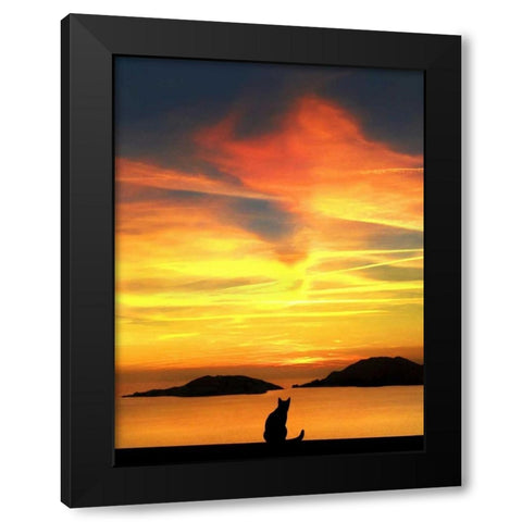 Contemplation Black Modern Wood Framed Art Print by Bertelli, Jon