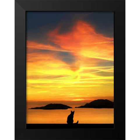 Contemplation Black Modern Wood Framed Art Print by Bertelli, Jon