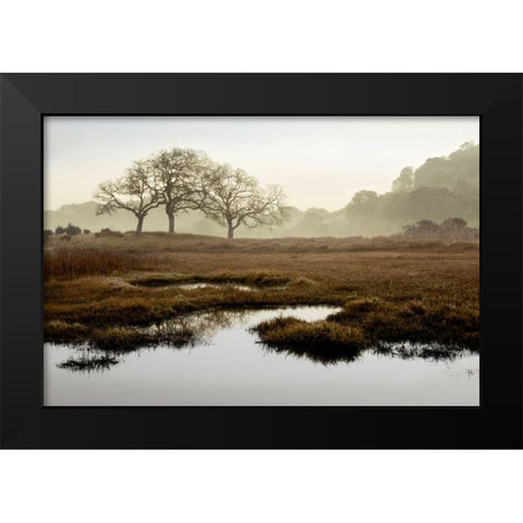 Island Oak Trees Black Modern Wood Framed Art Print by Blaustein, Alan