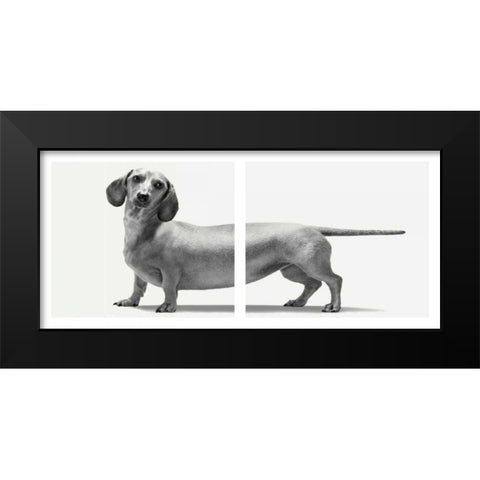 Heads and Tails Black Modern Wood Framed Art Print by Bertelli, Jon