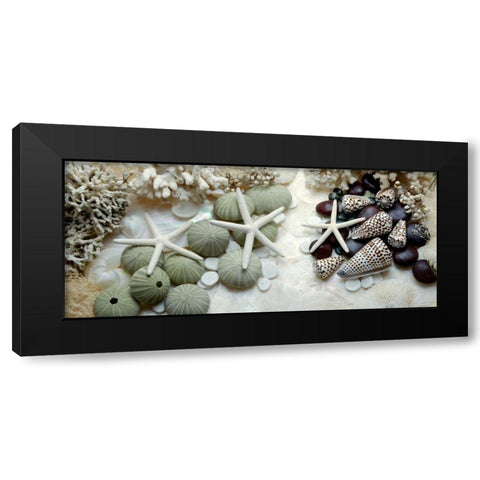 Island Tide Pool No. 2 Black Modern Wood Framed Art Print with Double Matting by Blaustein, Alan
