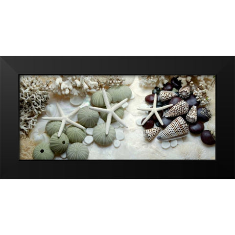 Island Tide Pool No. 2 Black Modern Wood Framed Art Print by Blaustein, Alan