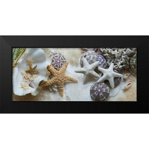 Island Tide Pool No. 4 Black Modern Wood Framed Art Print by Blaustein, Alan