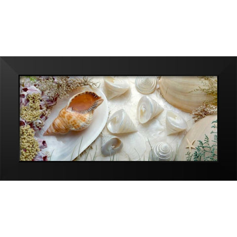 Island Tide Pool No. 6 Black Modern Wood Framed Art Print by Blaustein, Alan