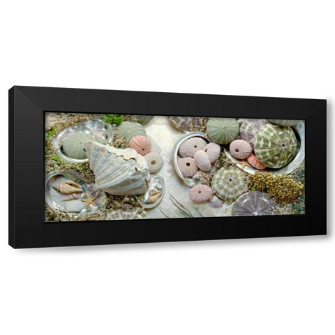 Island Tide Pool No. 7 Black Modern Wood Framed Art Print by Blaustein, Alan