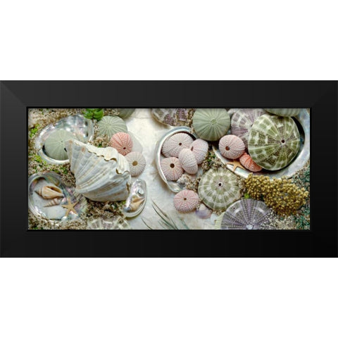 Island Tide Pool No. 7 Black Modern Wood Framed Art Print by Blaustein, Alan