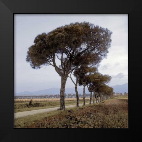 Tuscan Fatorria Strada No. 1 Black Modern Wood Framed Art Print by Blaustein, Alan