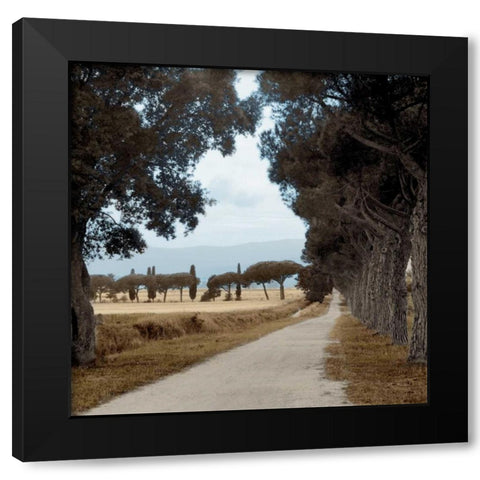 Tuscan Fatorria Strada No. 2 Black Modern Wood Framed Art Print with Double Matting by Blaustein, Alan