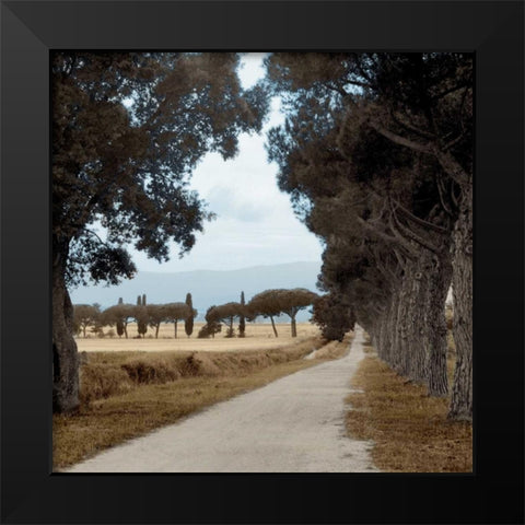 Tuscan Fatorria Strada No. 2 Black Modern Wood Framed Art Print by Blaustein, Alan