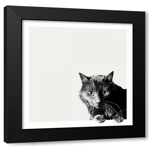 Inquisitive Black Modern Wood Framed Art Print by Bertelli, Jon
