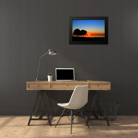 Rise and Shine Black Modern Wood Framed Art Print by Burdick, Chuck