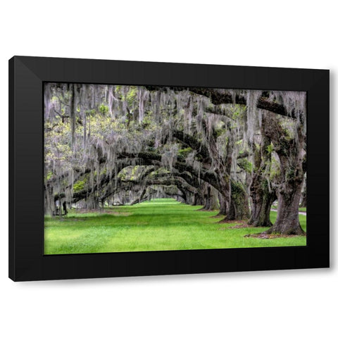 Hanging to the Left Black Modern Wood Framed Art Print with Double Matting by Burt, Daniel