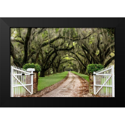 Plantation Road Black Modern Wood Framed Art Print by Burt, Daniel