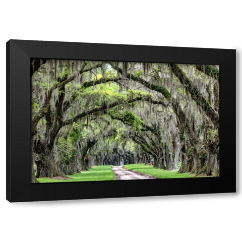 The Old South Black Modern Wood Framed Art Print with Double Matting by Burt, Daniel