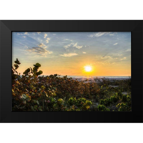 Sea Grapes at Sunset Black Modern Wood Framed Art Print by Burdick, Chuck