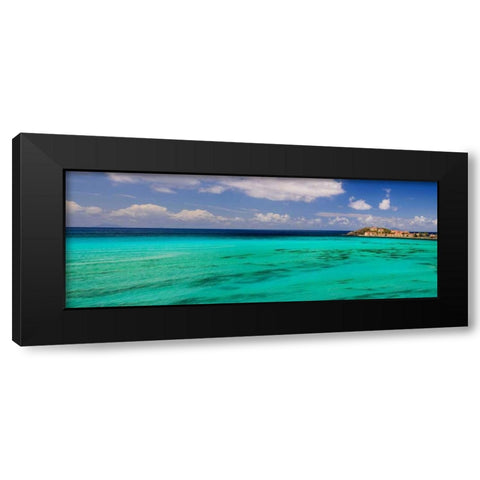 Caribbean Waters Black Modern Wood Framed Art Print by Burdick, Chuck