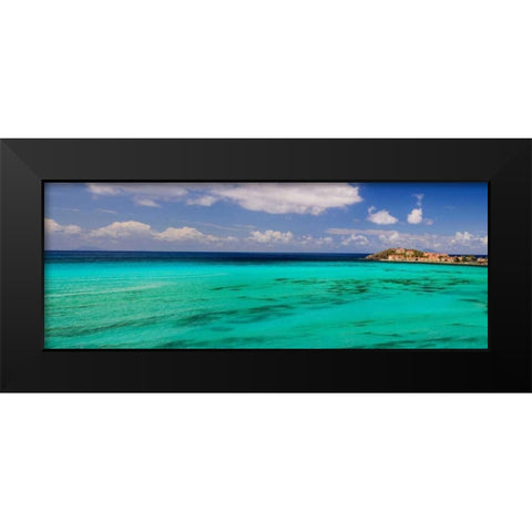 Caribbean Waters Black Modern Wood Framed Art Print by Burdick, Chuck