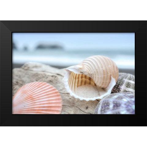 Crescent Beach Shells 9 Black Modern Wood Framed Art Print by Blaustein, Alan