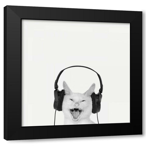 Rockin Kitten Black Modern Wood Framed Art Print with Double Matting by Bertelli, Jon