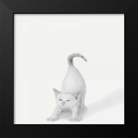 Bonjour! Black Modern Wood Framed Art Print by Bertelli, Jon