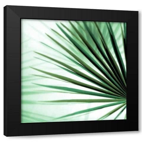 Palm Leaf #1 Black Modern Wood Framed Art Print with Double Matting by Blaustein, Alan