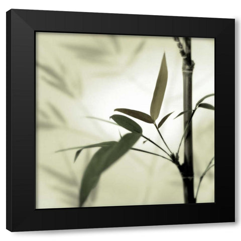 Bamboo #1 Black Modern Wood Framed Art Print by Blaustein, Alan