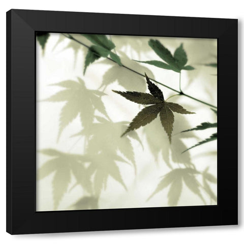 Japanese Maple #1 Black Modern Wood Framed Art Print by Blaustein, Alan