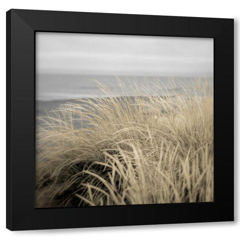 Tuscan Dunes #2A Black Modern Wood Framed Art Print with Double Matting by Blaustein, Alan