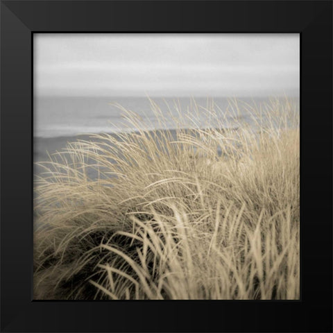 Tuscan Dunes #2A Black Modern Wood Framed Art Print by Blaustein, Alan