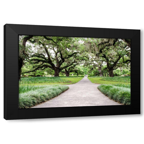 Garden Entrance Black Modern Wood Framed Art Print by Burdick, Chuck