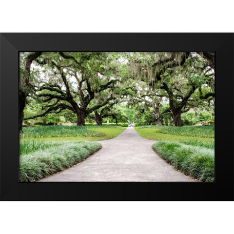 Garden Entrance Black Modern Wood Framed Art Print by Burdick, Chuck