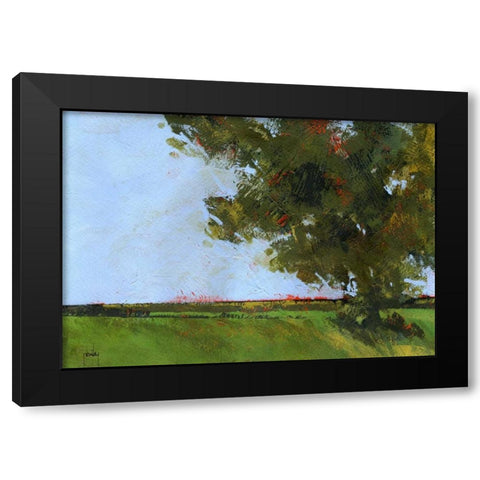 Autumn Oak and Empty Fields Black Modern Wood Framed Art Print by Bailey, Paul