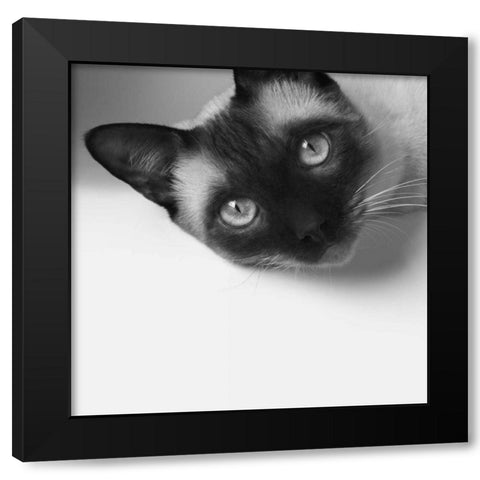 Hey! Black Modern Wood Framed Art Print with Double Matting by Bertelli, Jon